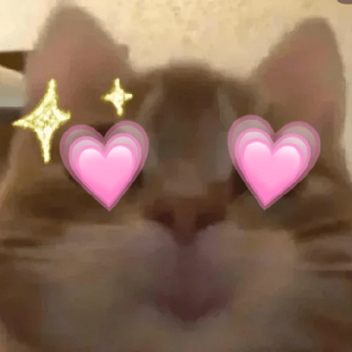 😻 Amor gatuno 💗🥰 12