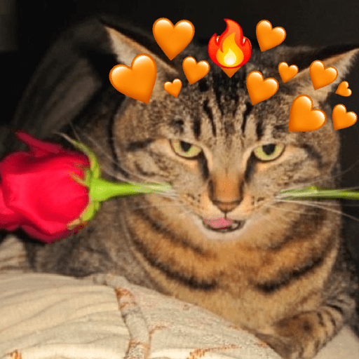 Gatos 2