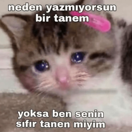 Mood 4