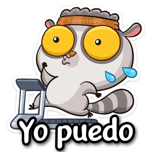 LEMUR cute ✨ 17