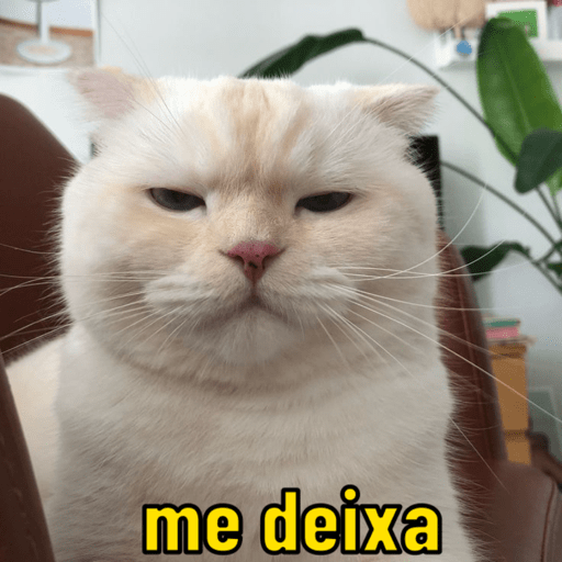 Memescat 🐾 10