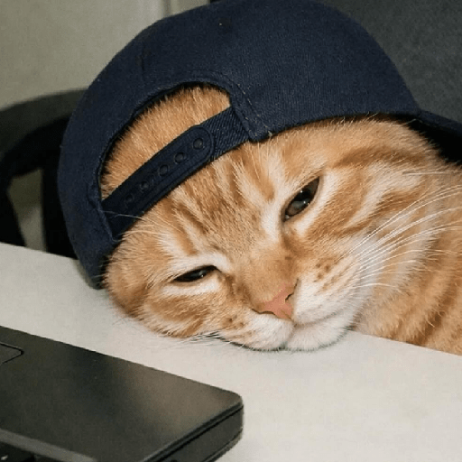 Gatos 7