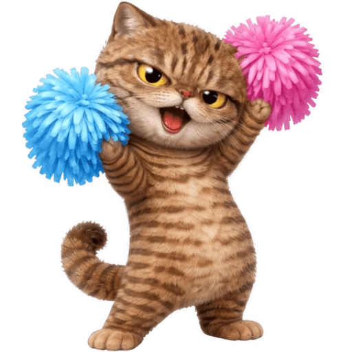 Gatos Funny 🤣😸 xdxd 🐈 15