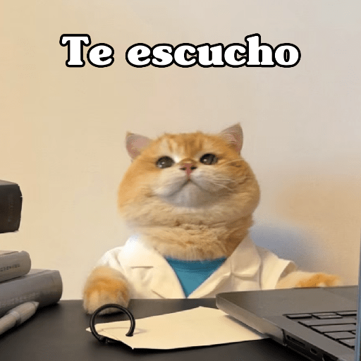 🧿 Dilo con Michis 4🐱 24