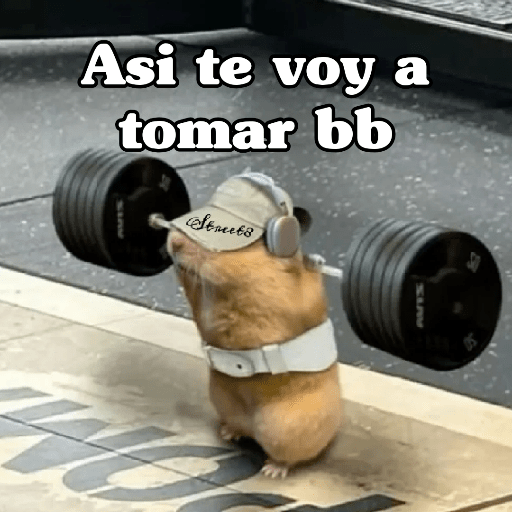 🧿 Hamster ratas roedores🐭🐁🐹🐀 16