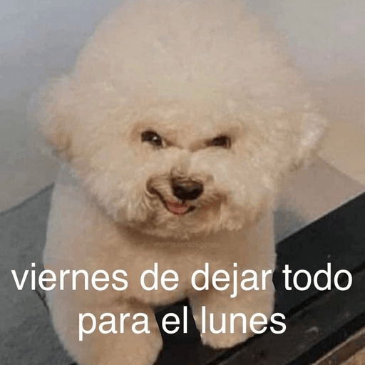 🐶Frases Doggy🐶 3