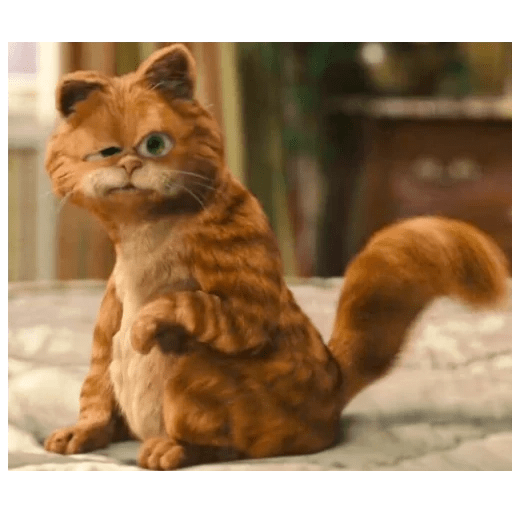 Garfield 2 🐱 17