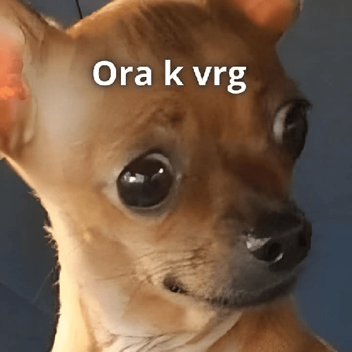 Frases 🫢 1