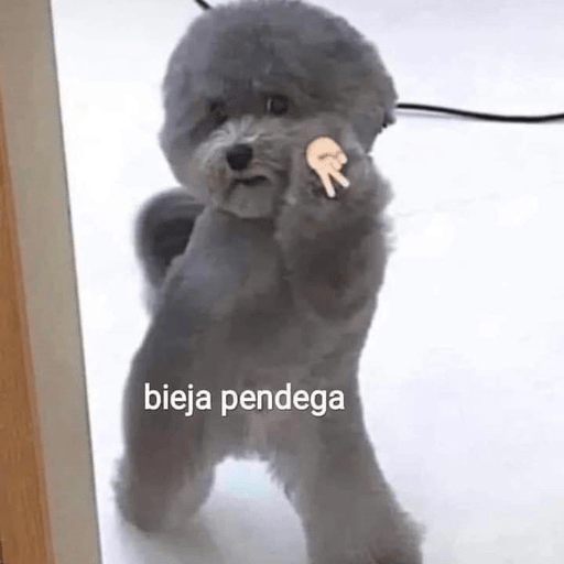 🐶Frases Doggy🐶 5