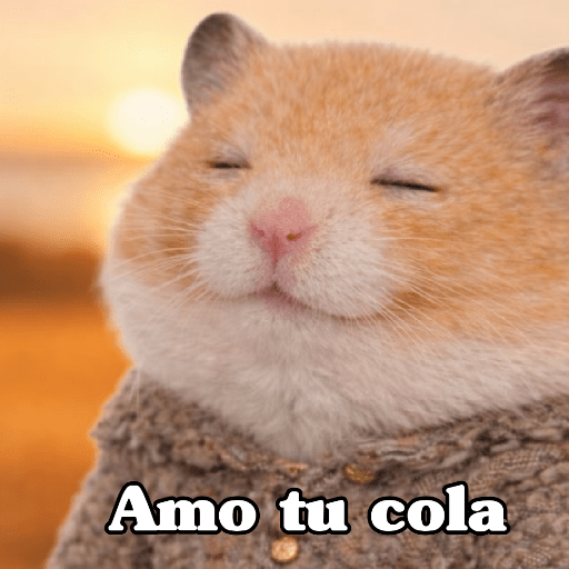 🧿 Hamster ratas roedores🐭🐁🐹🐀 12