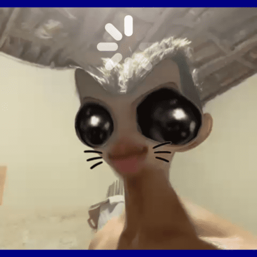 Gato fofos 3