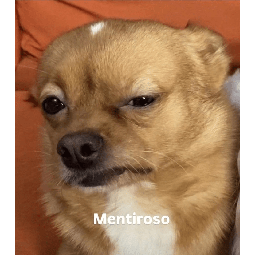 Frases 🫢 4