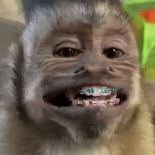 Monos 🐒 9