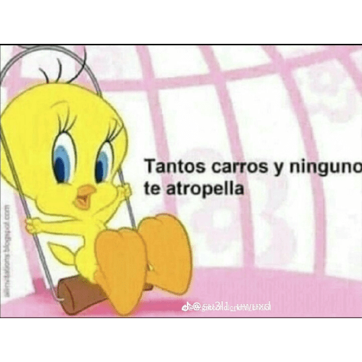 Piolin calla osicos💋💅 1