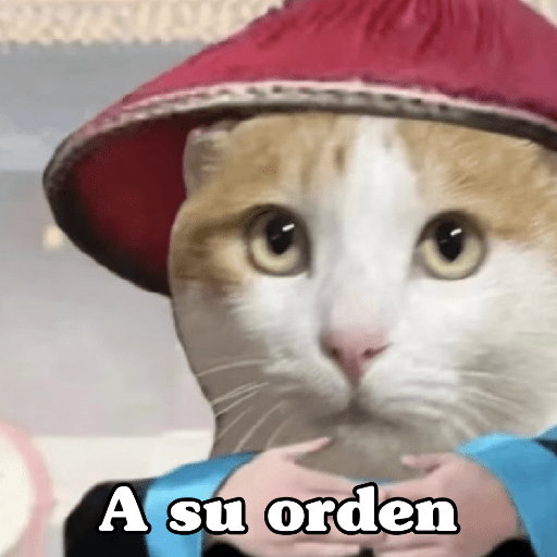 🧿 Dilo con michis 5😺 11