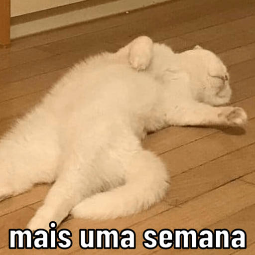 Memescat 🐾 4