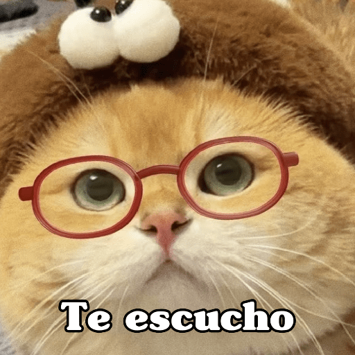 🧿 Dilo con Michis 4🐱 18