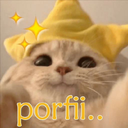 😻 Amor gatuno 💗🥰 11