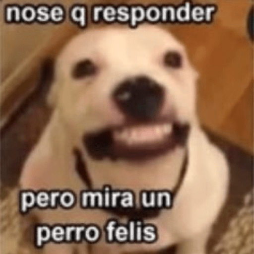 🐶Frases Doggy🐶 13