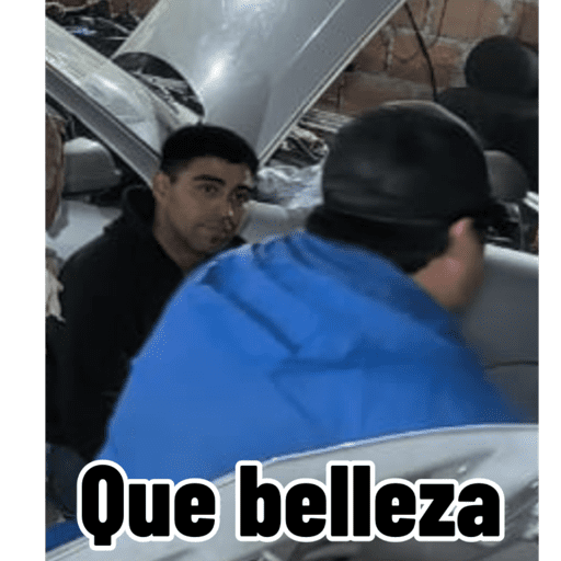 Changos 19