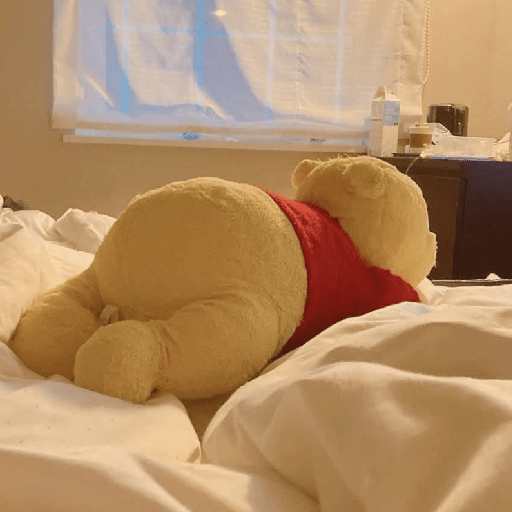 🧸 Winnie the Pooh Mood 🍯🐝 12
