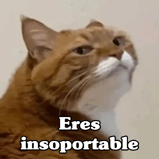 🧿 Dilo con michis 5😺 8