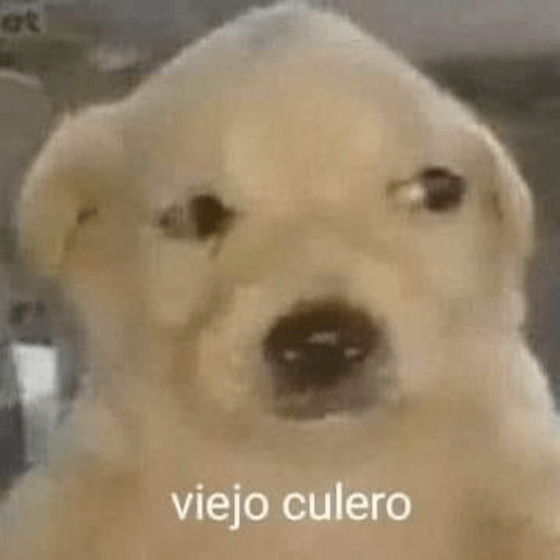 🐶Frases Doggy🐶 9