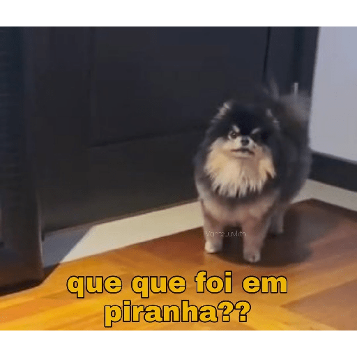 Surtos leves e tenis 1