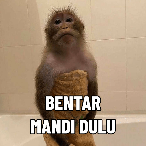 Monyet 7
