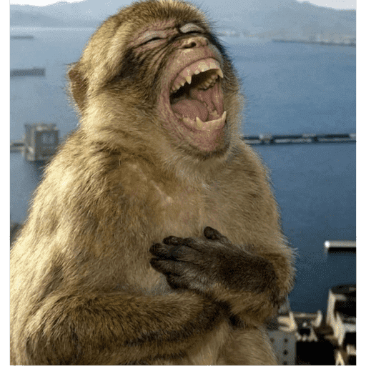 Monkey 2 3