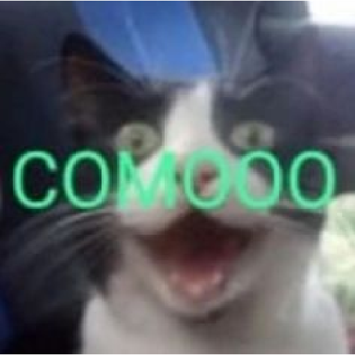  bueno 29