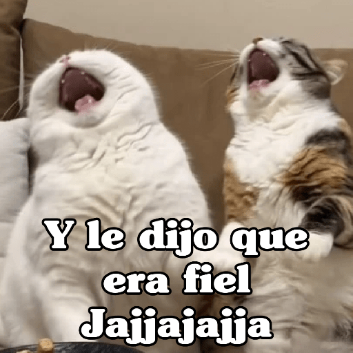 🧿 Dilo con michis 5😺 1