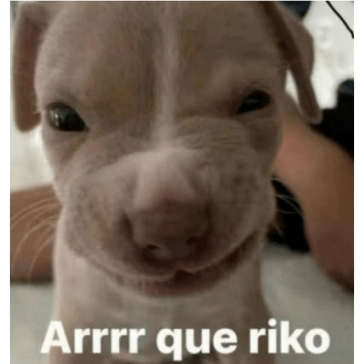 Frases 🫢 5
