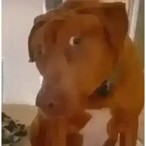 🤨 Sospechoso Meme Sus🫆🧐 9