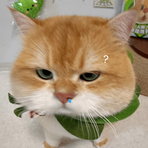 🧿 Dilo con Michis 4🐱 21