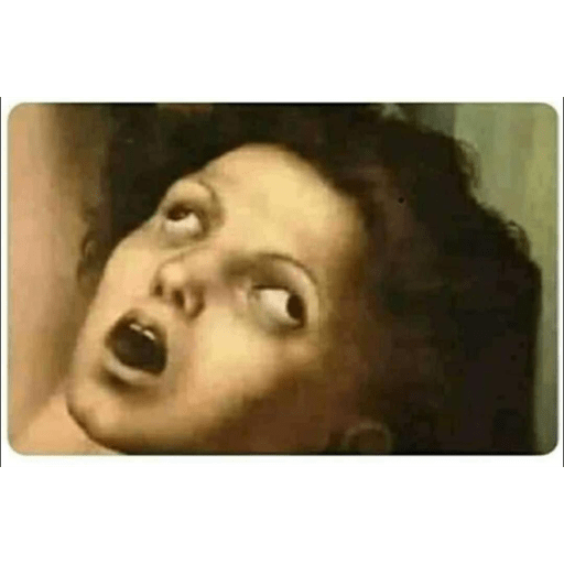 Memess lleve sus memeeeessss 29