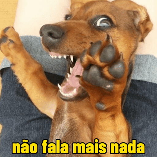 Oi, posso falar 12