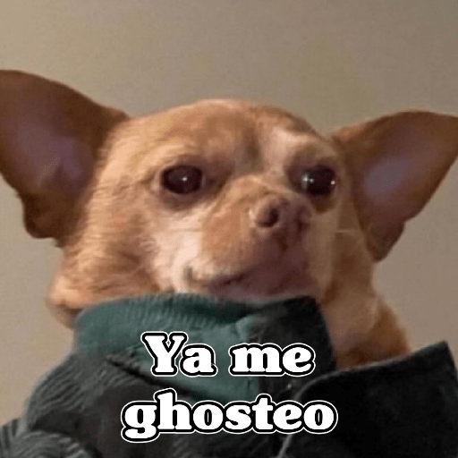 🧿Memes Variados16 😎 18