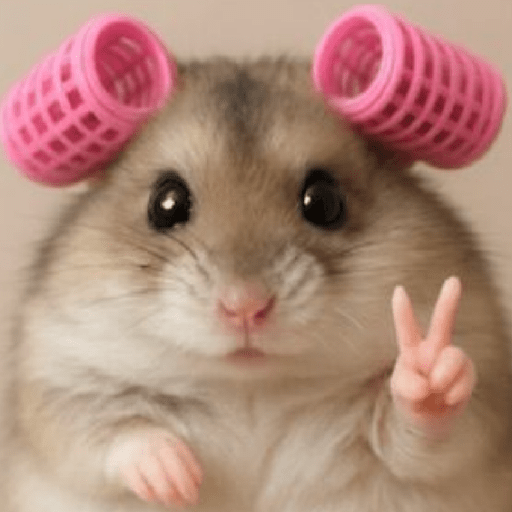🐹 Meme Hámsters Necesarios📲🐹 12