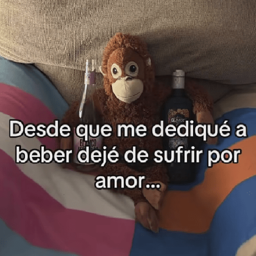 🧿Punch Frases♥️🦧🐒 28