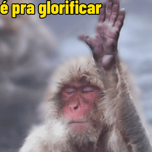 Macacos  5