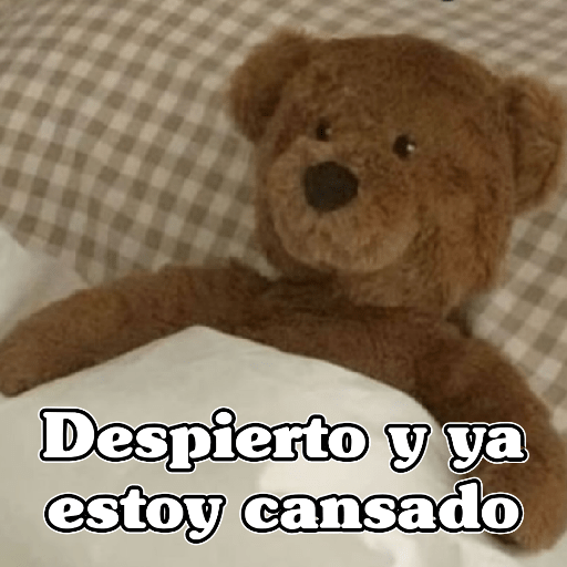🧿Memes Variados16 😎 16