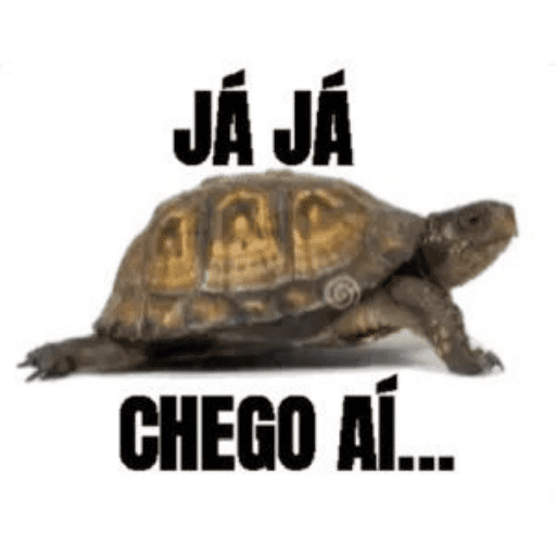 Kkkkkk 26
