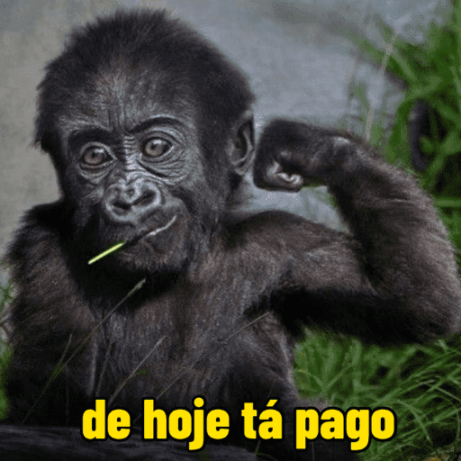 Macaco 3