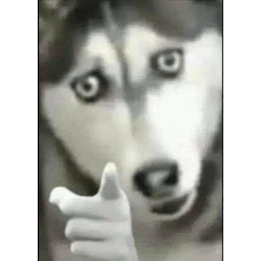 Memes 7 27