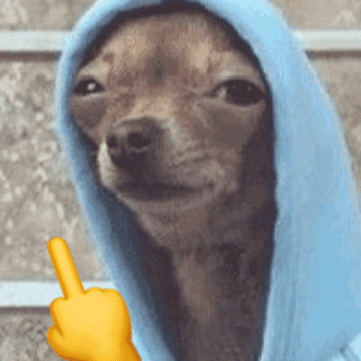 Memes cachorros 14