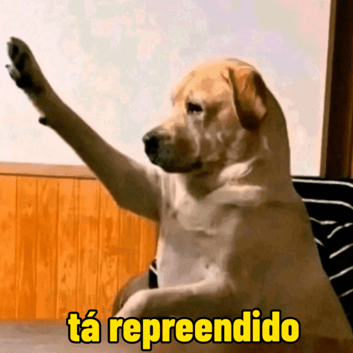 Cachorros  6