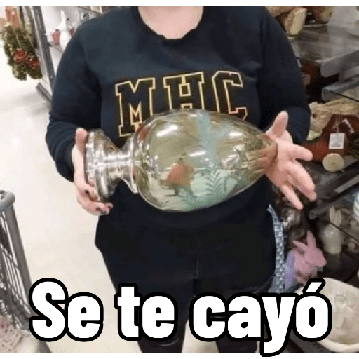 Chatarra 22