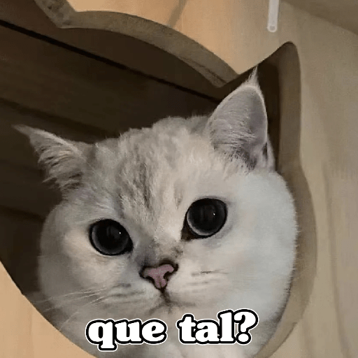 🧿Dilo con Michis3🐱 23