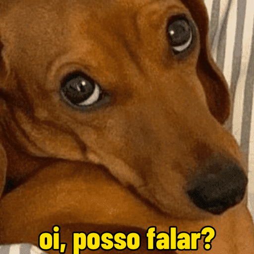 Oi, posso falar 11